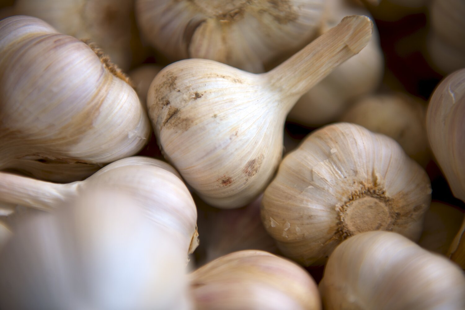 Garlic Mustard Dressing — Medical Weight Loss Clinic